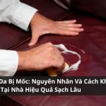 sofa da bị mốc
