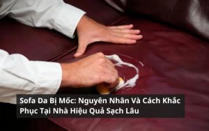 sofa da bị mốc