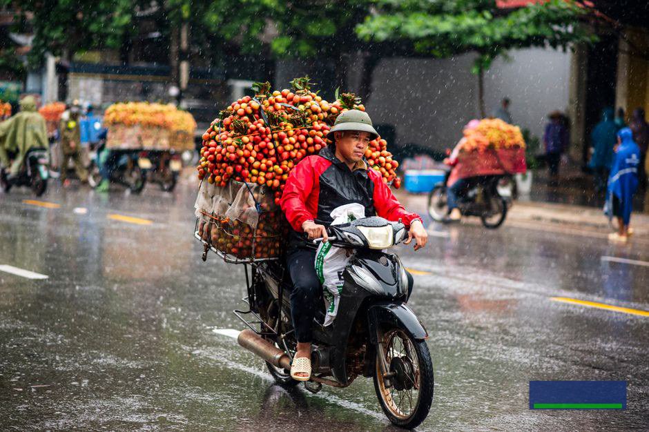 Kết luận: AI là công cụ giúp nông sản kể chuyện tốt hơn